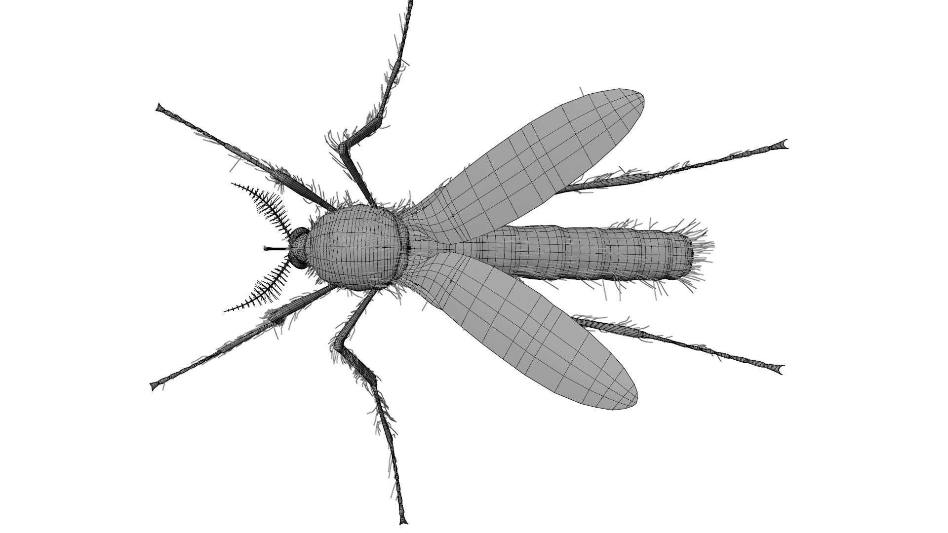 Mosquito 3D model_17
