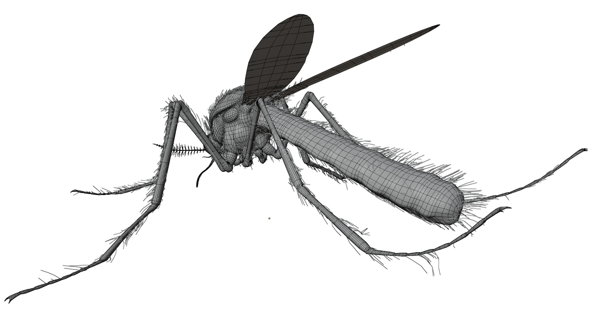 Mosquito 3D model_11