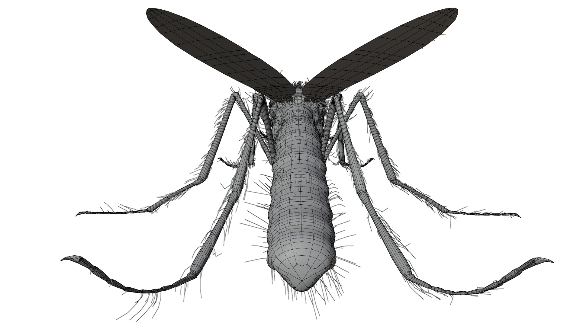 Mosquito 3D model_12