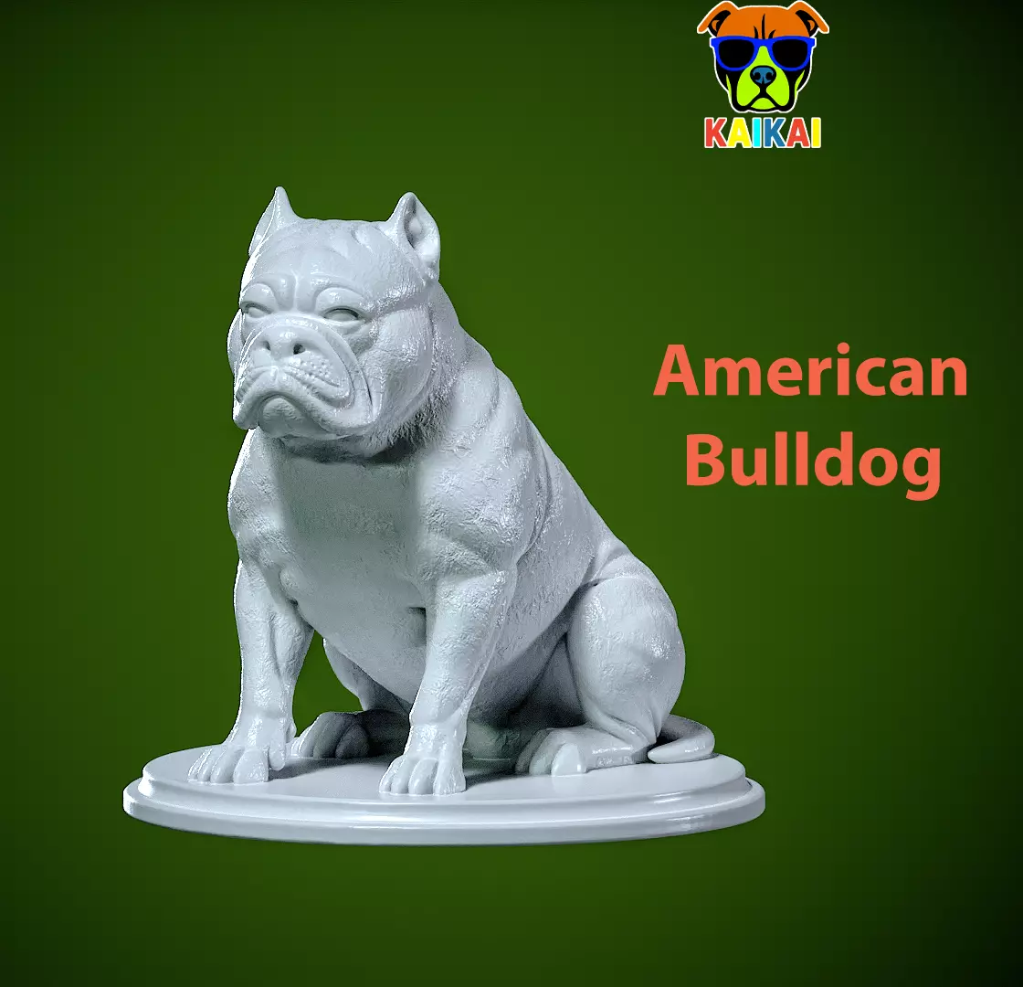 American Bulldog Urban vibes decor 3D print model_0
