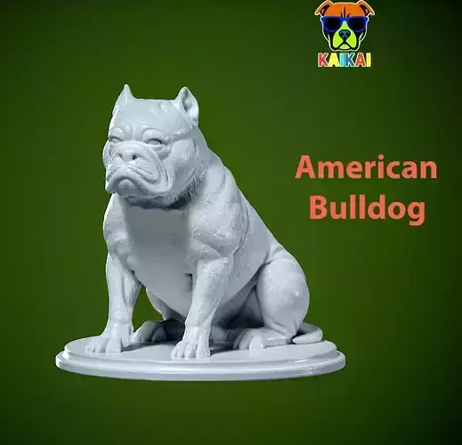 American Bulldog Urban vibes decor