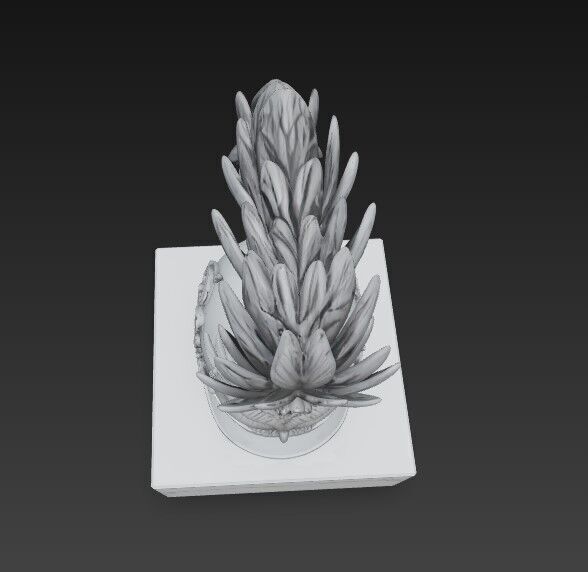 3D Printable Ancient Helmet 3D model_14