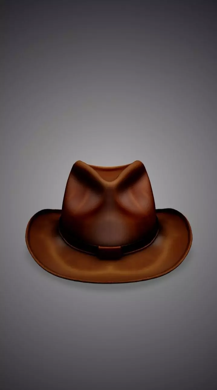 Cowboy hat 3D model_0