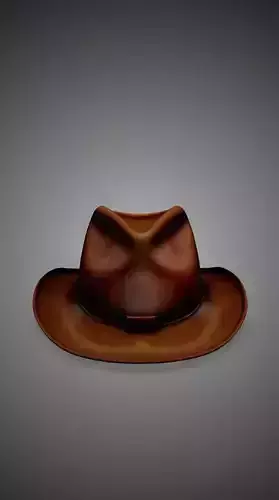 Cowboy hat