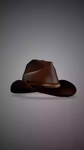 Cowboy hat