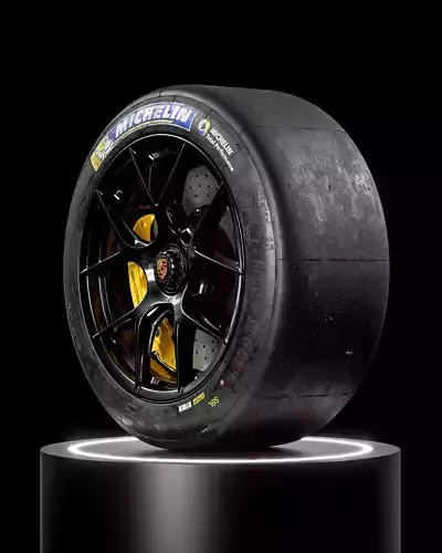 MICHELIN Pilot Sport GT Slick 31 71 R19 S9L