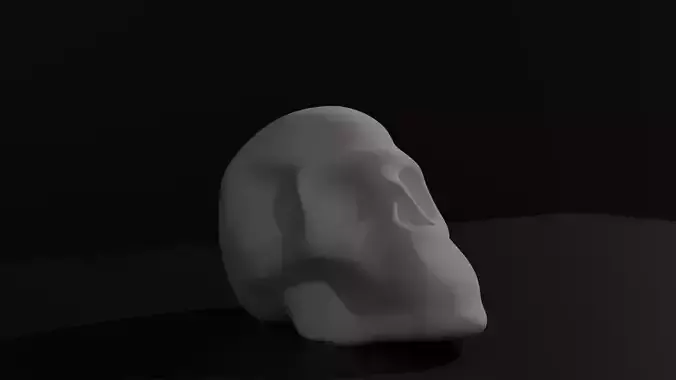 Human Normal Skull