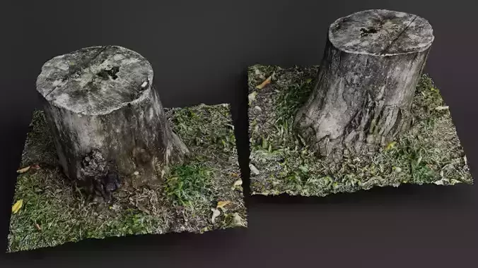 Tree Stump with Grass