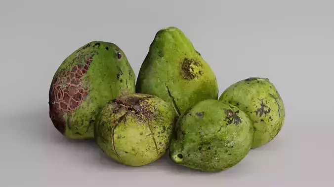 Avocado Scan Pack