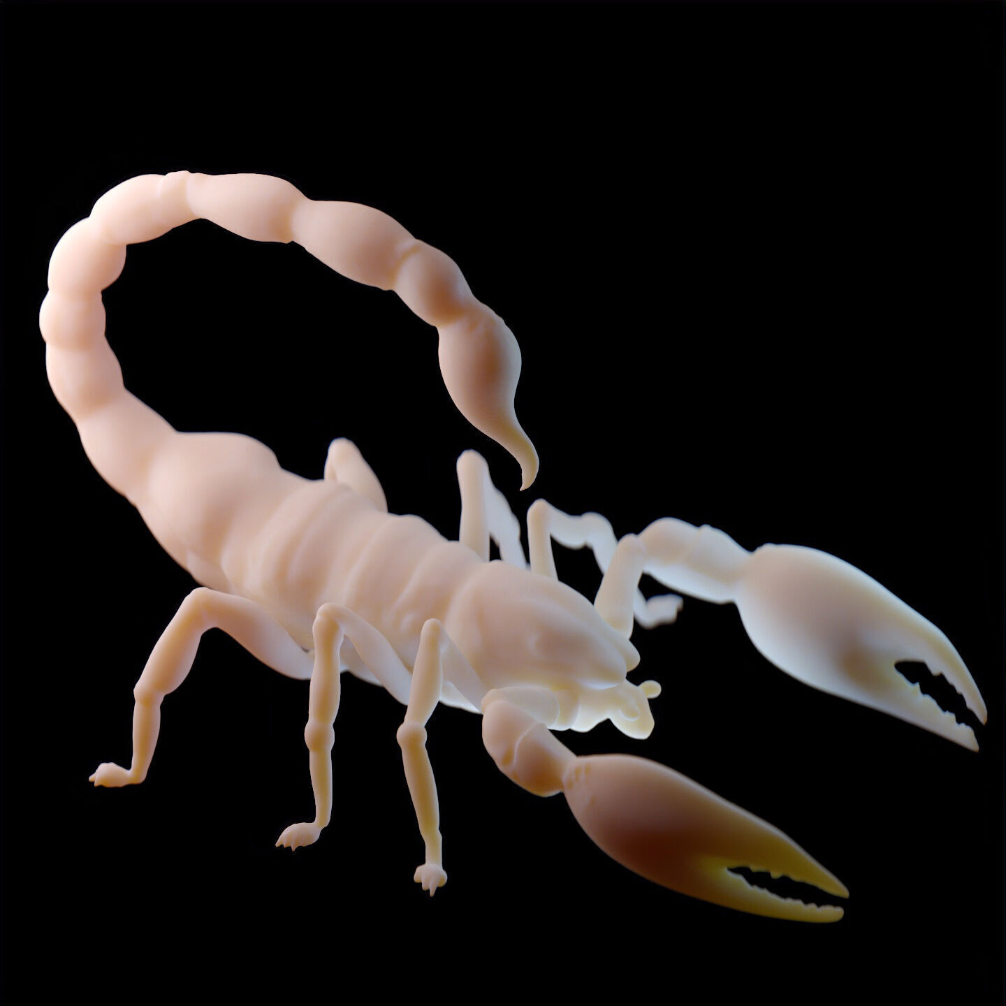 Stylized Scorpion Printable Creature Model 3D print model_11