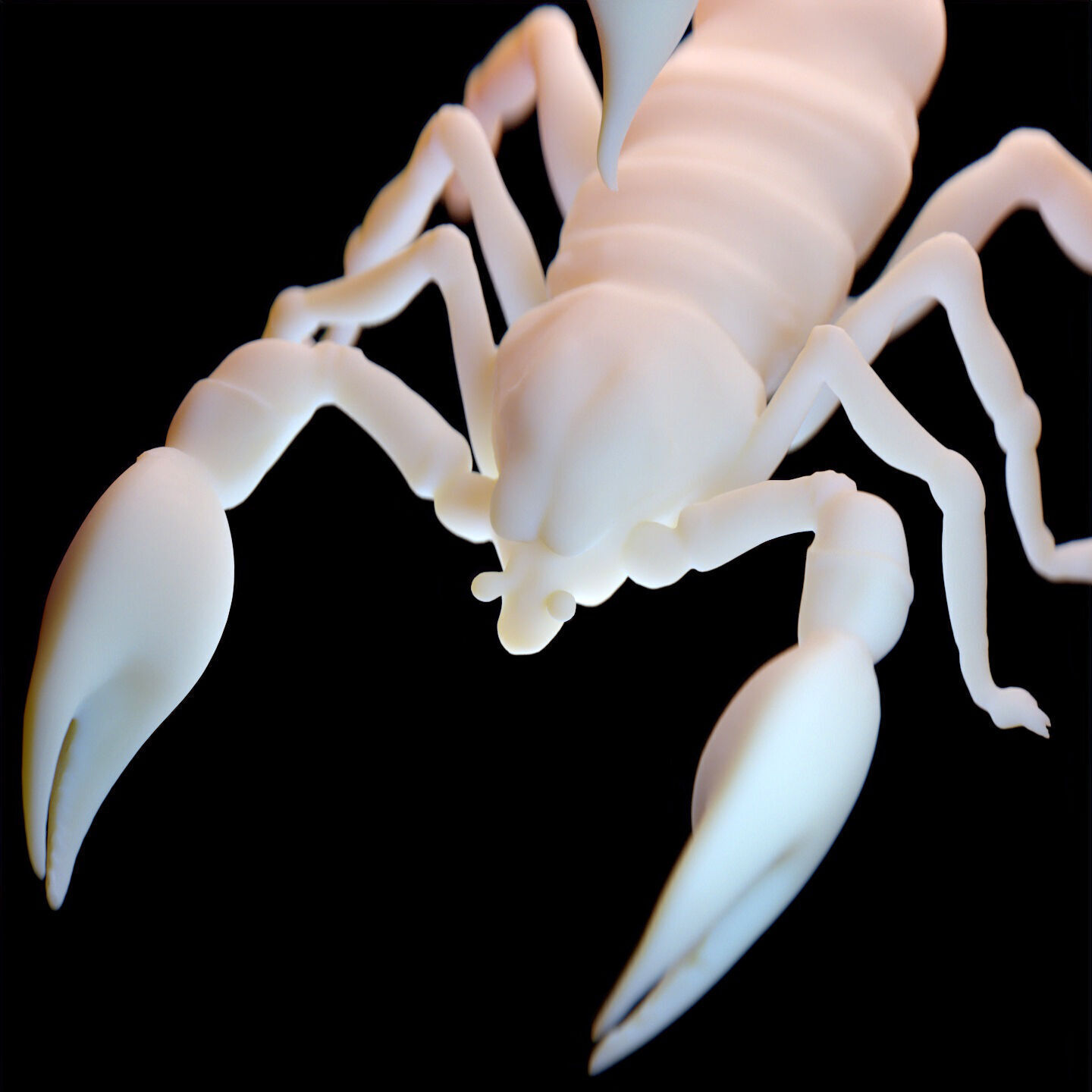 Stylized Scorpion Printable Creature Model 3D print model_5