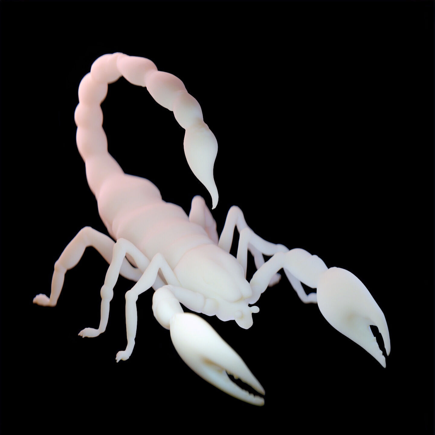 Stylized Scorpion Printable Creature Model 3D print model_13