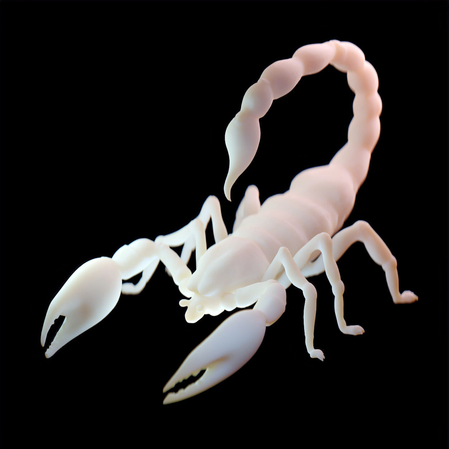 Stylized Scorpion Printable Creature Model 3D print model_12