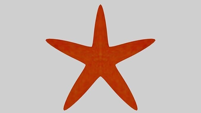 Starfish 3D Model Low-poly 3D model