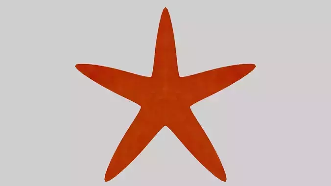 Starfish 3D Model