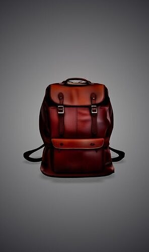 Leather Backpack  3D model