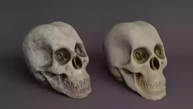 Stylized Skull Clean and Dirty 