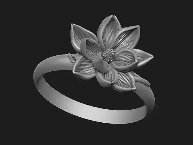 Magnolia design plant organic family sakura