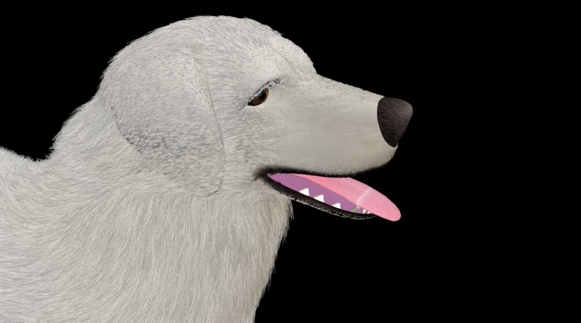 rigged akbash shepherd dog 3D model_3