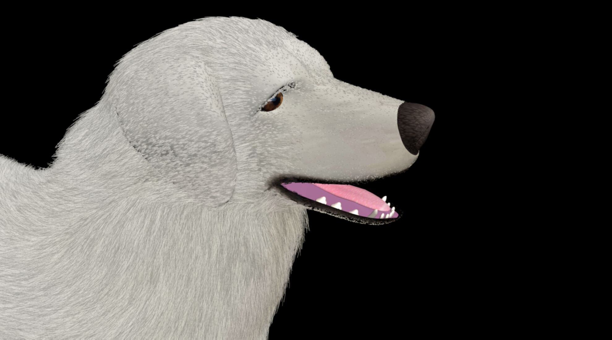 rigged akbash shepherd dog 3D model_1