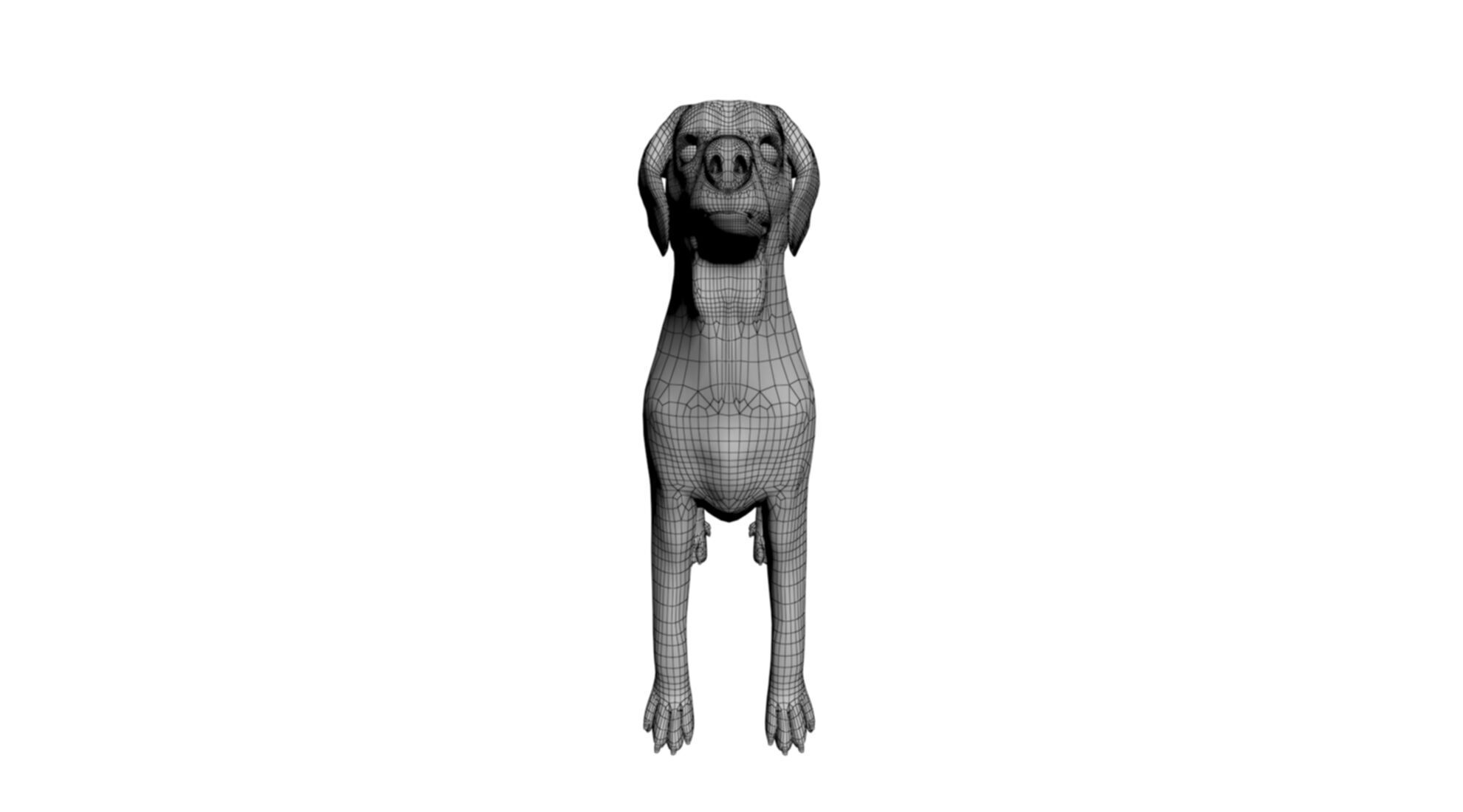 rigged akbash shepherd dog 3D model_6