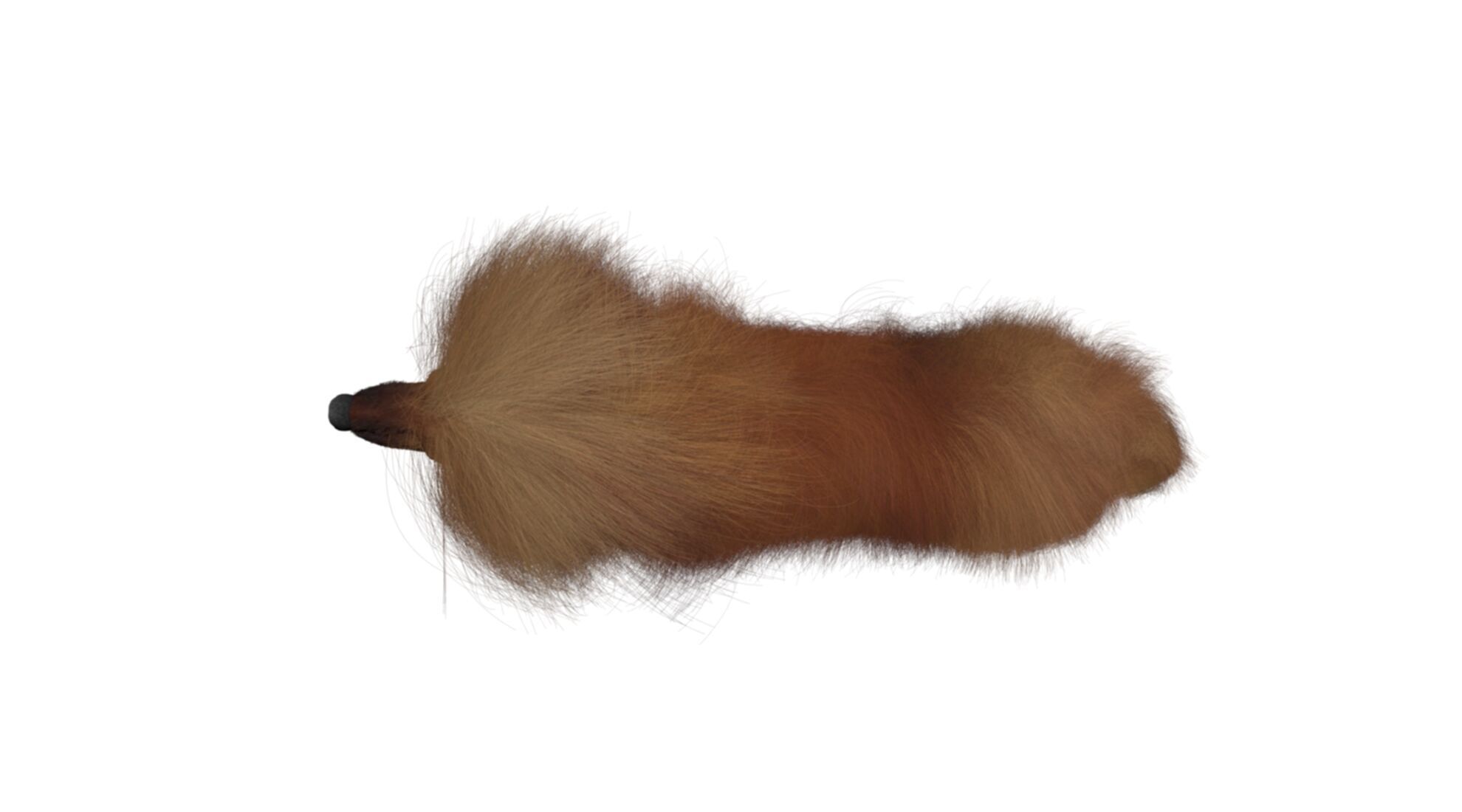 Mastiff tibetdogge  dog 3D model_5