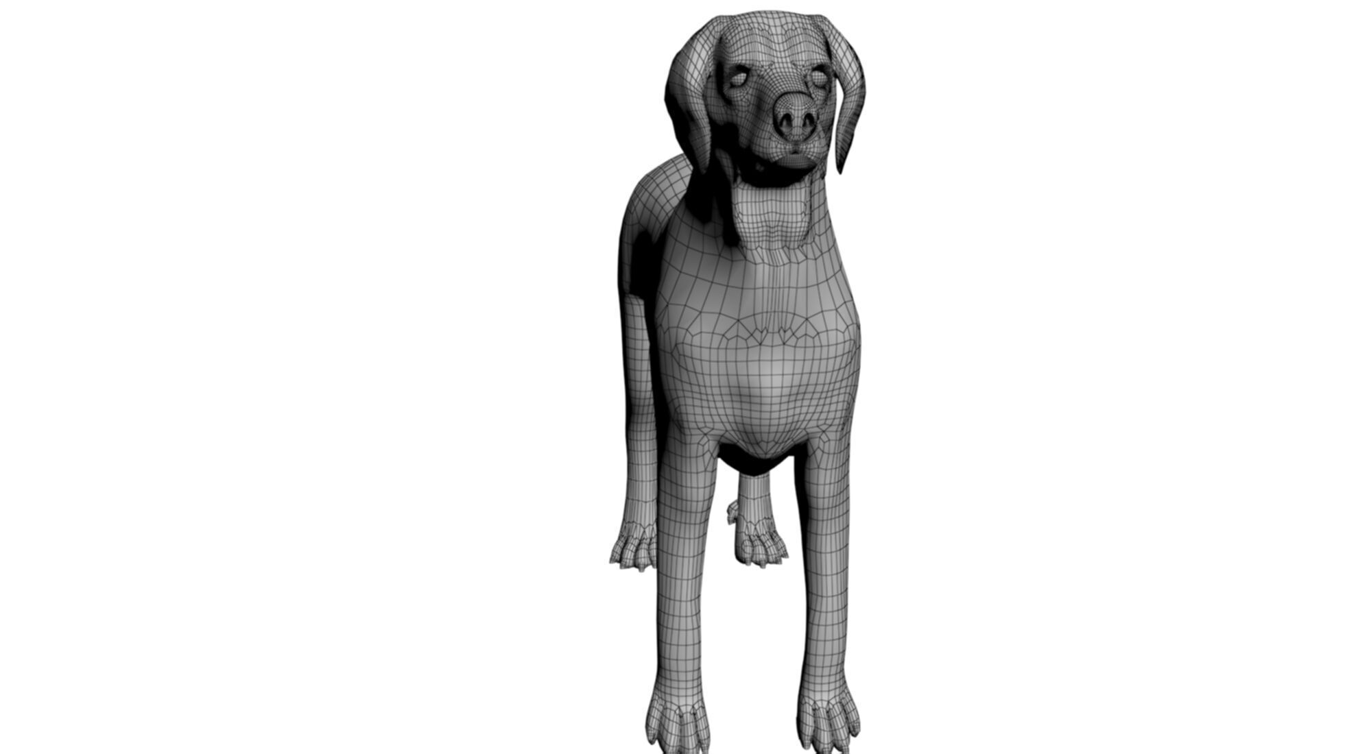 Mastiff tibetdogge  dog 3D model_7