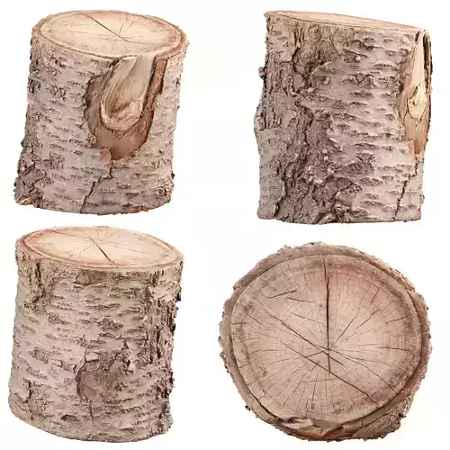3D Scanned Tree Log Realistic Model With LOD Vol 01 Low-poly 3D model