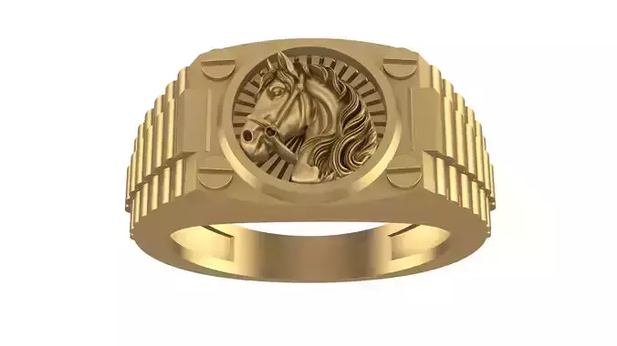 Horse Ring New