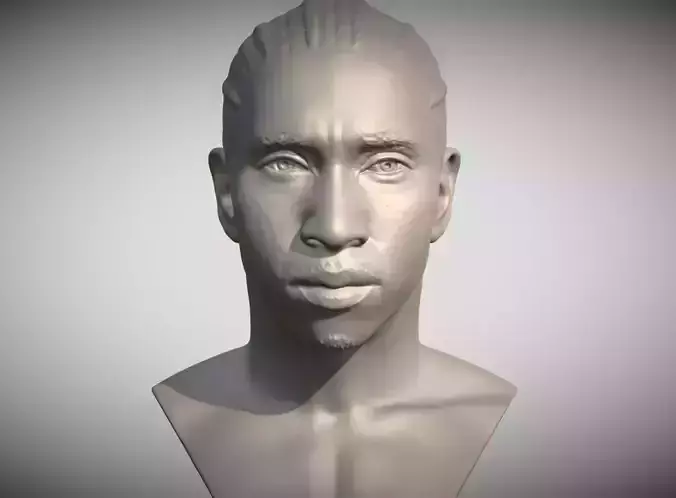 Tyga rapper bust 3D print model