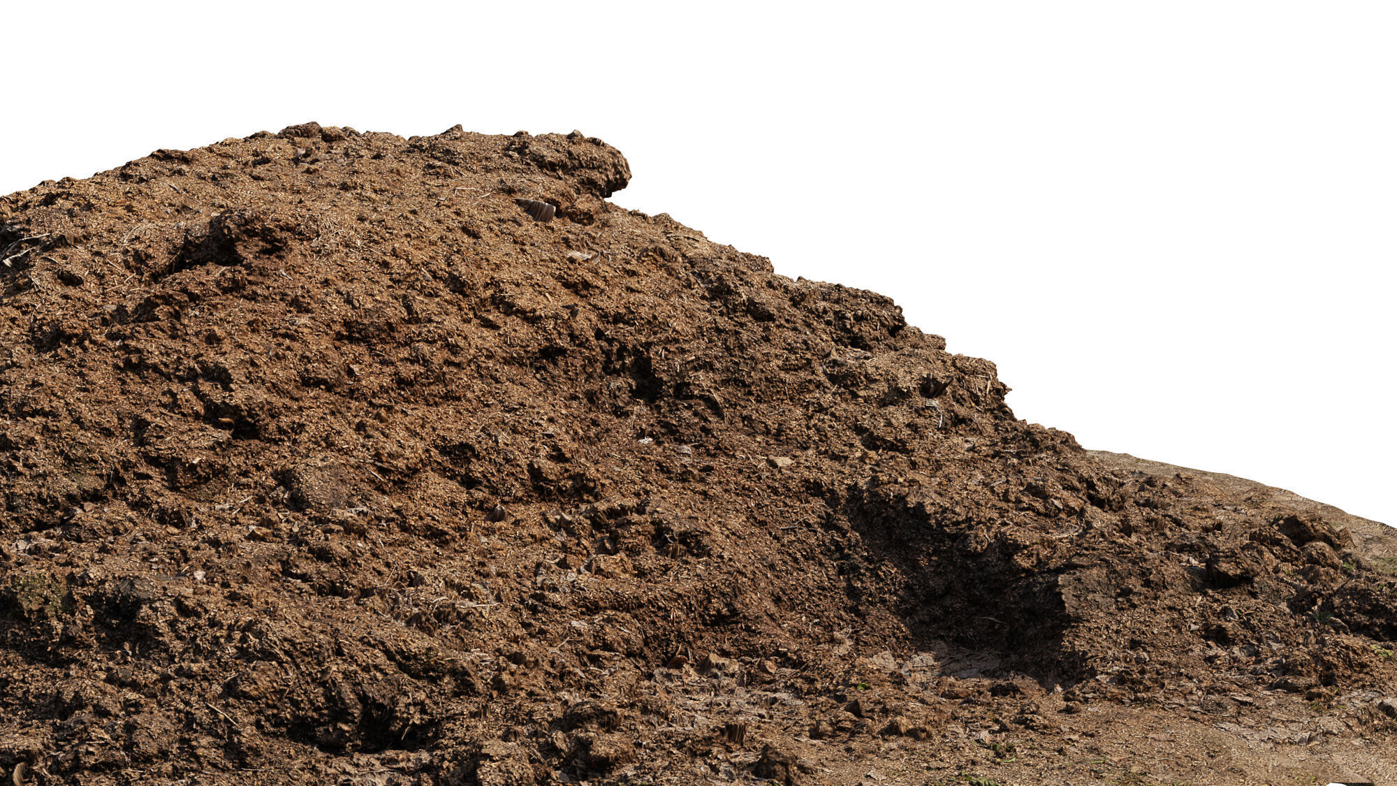 Pile of manure Low-poly 3D model_7