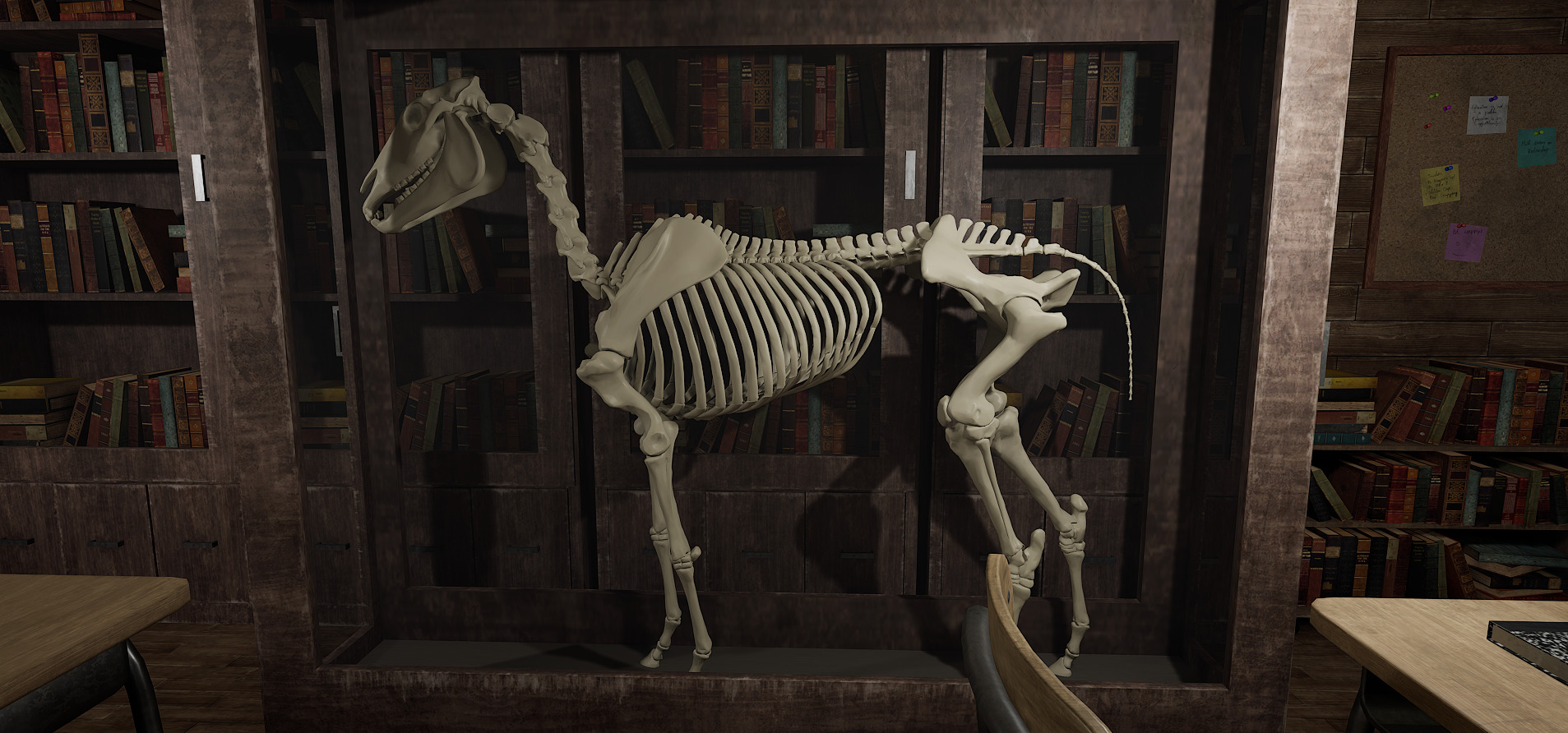 Old Era Anatomy Classroom Environment 3D model_12