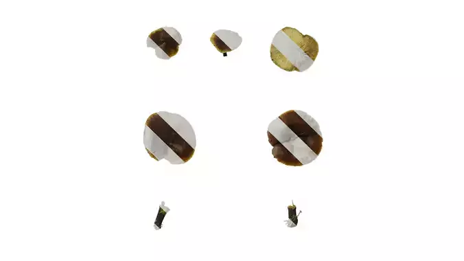 Anydrafts Mushroom 35