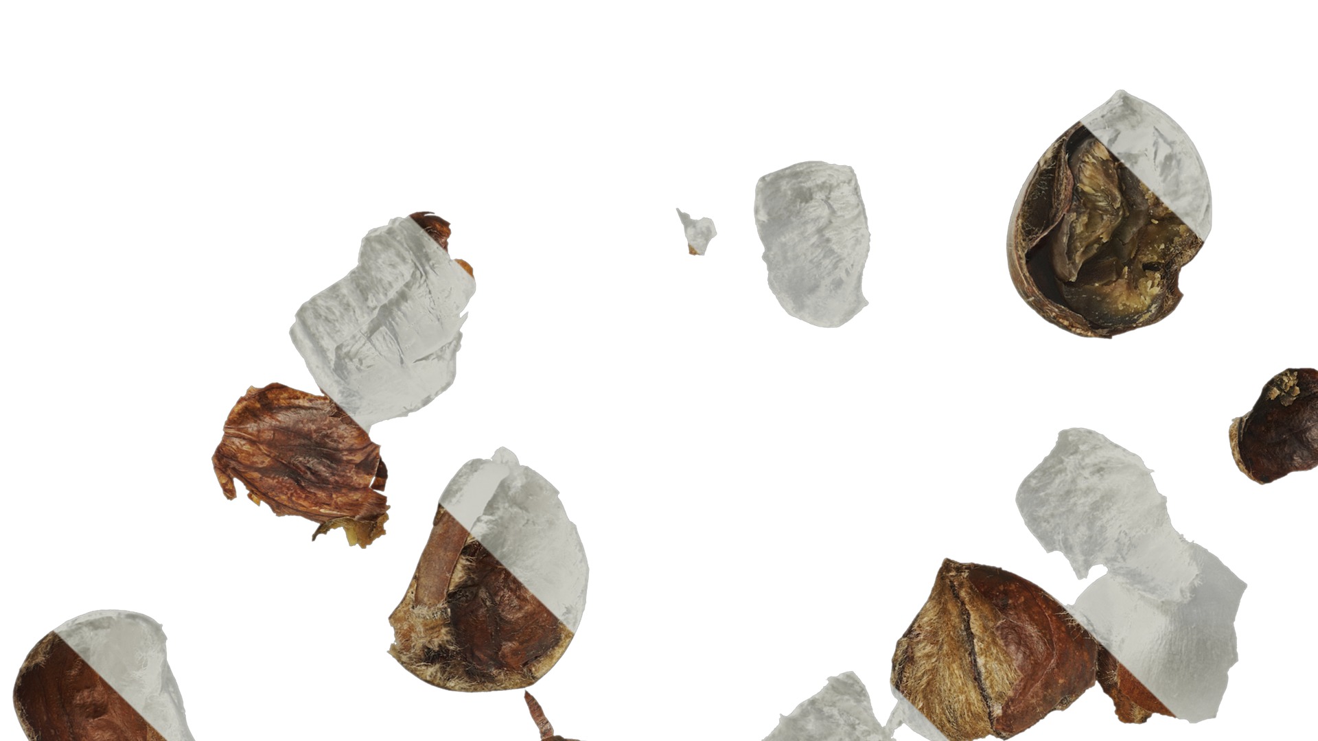 Anydrafts Kitchen waste 07 Texture_3