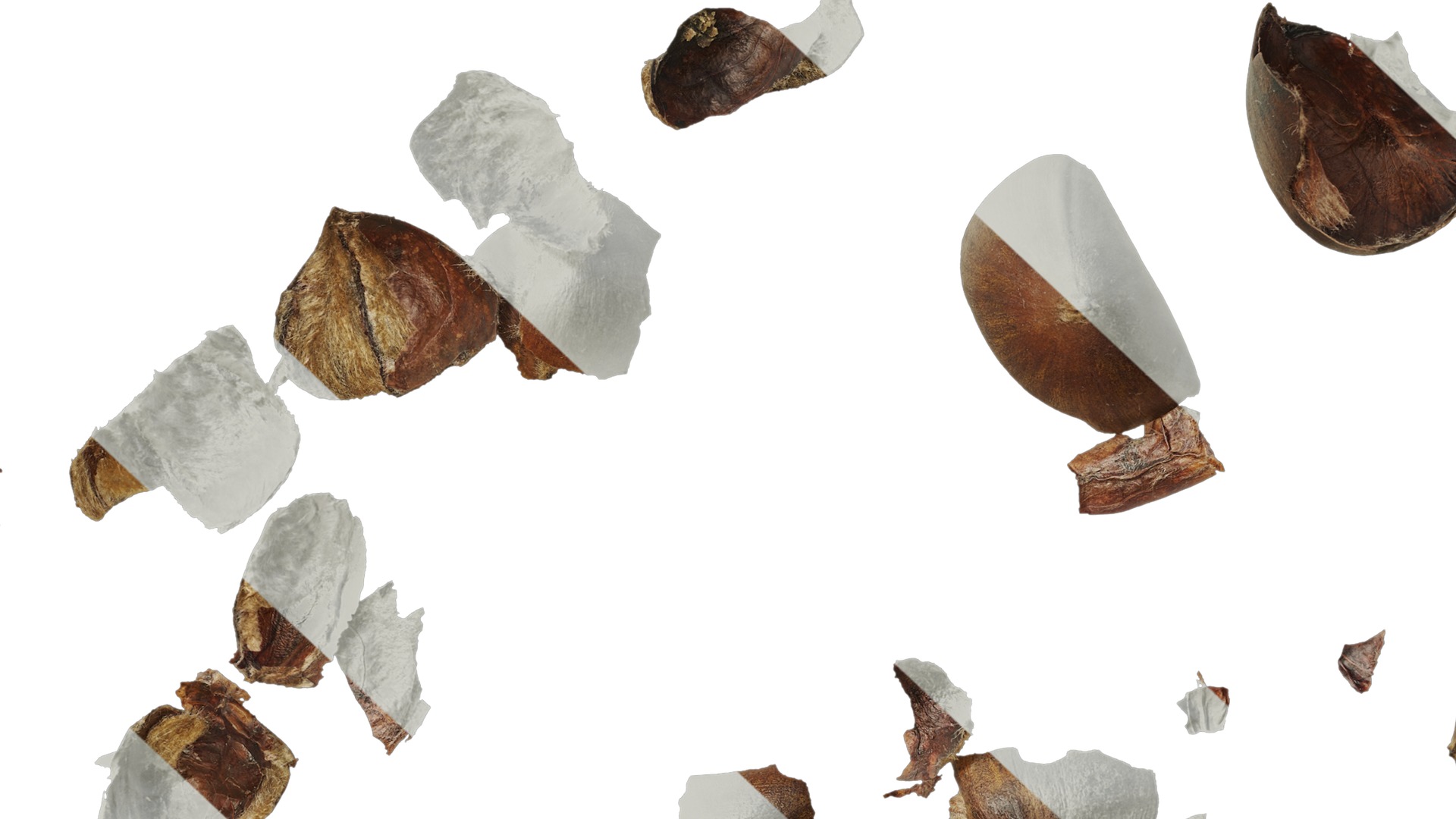 Anydrafts Kitchen waste 07 Texture_7