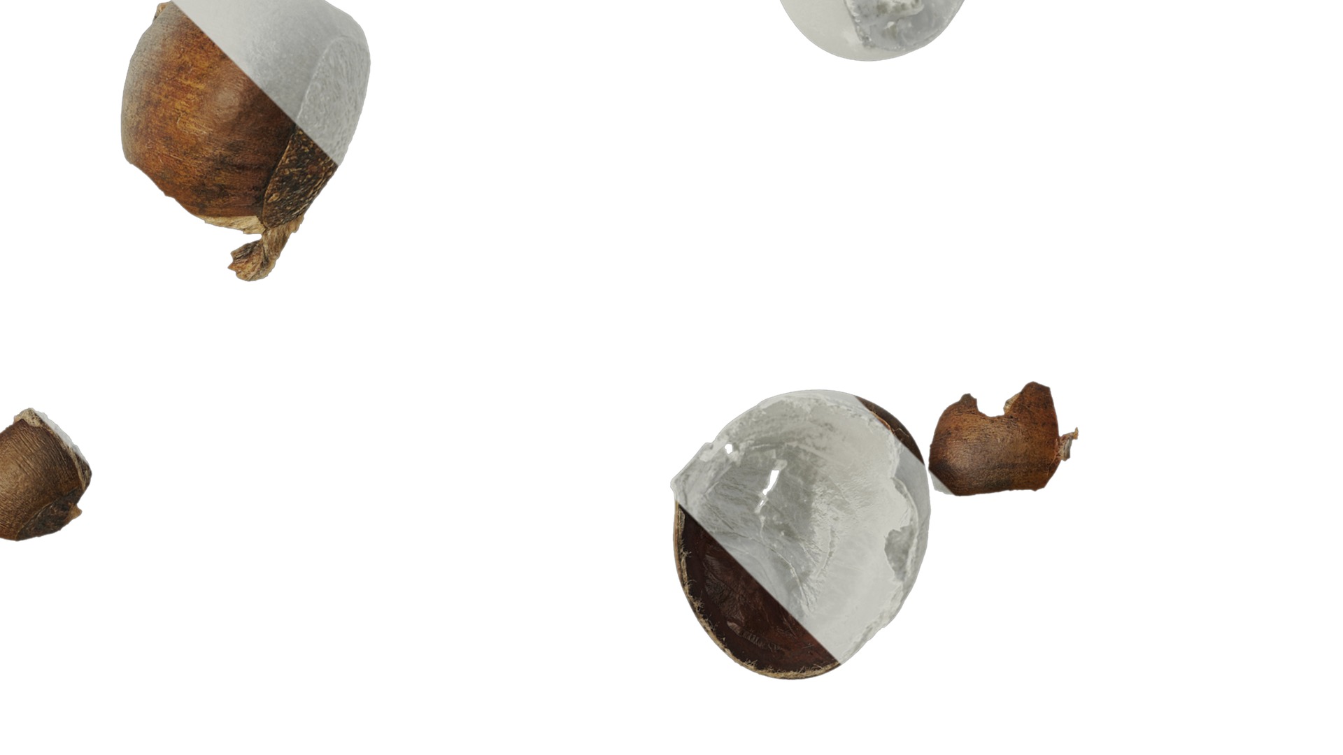 Anydrafts Kitchen waste 07 Texture_2