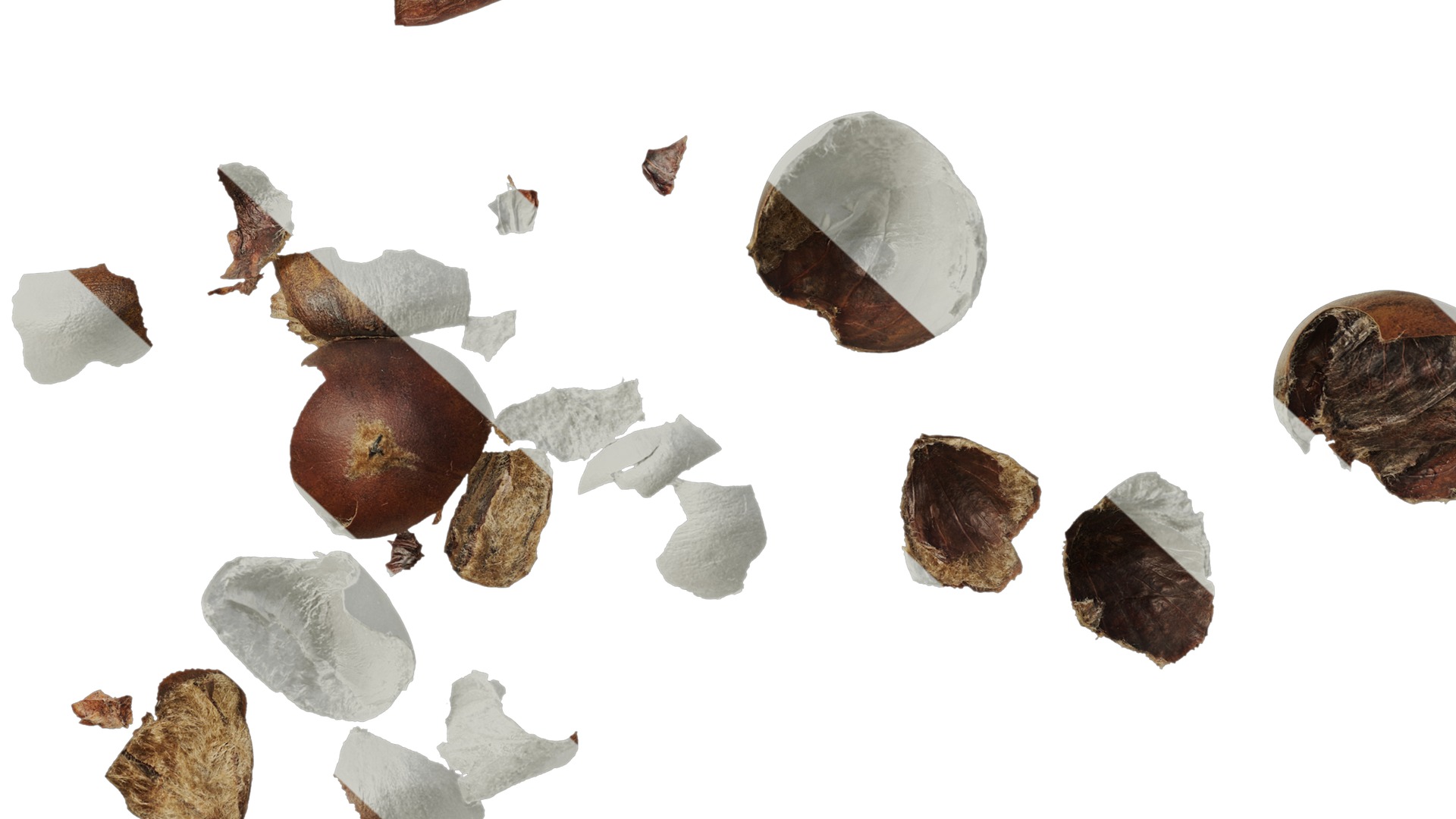 Anydrafts Kitchen waste 07 Texture_6