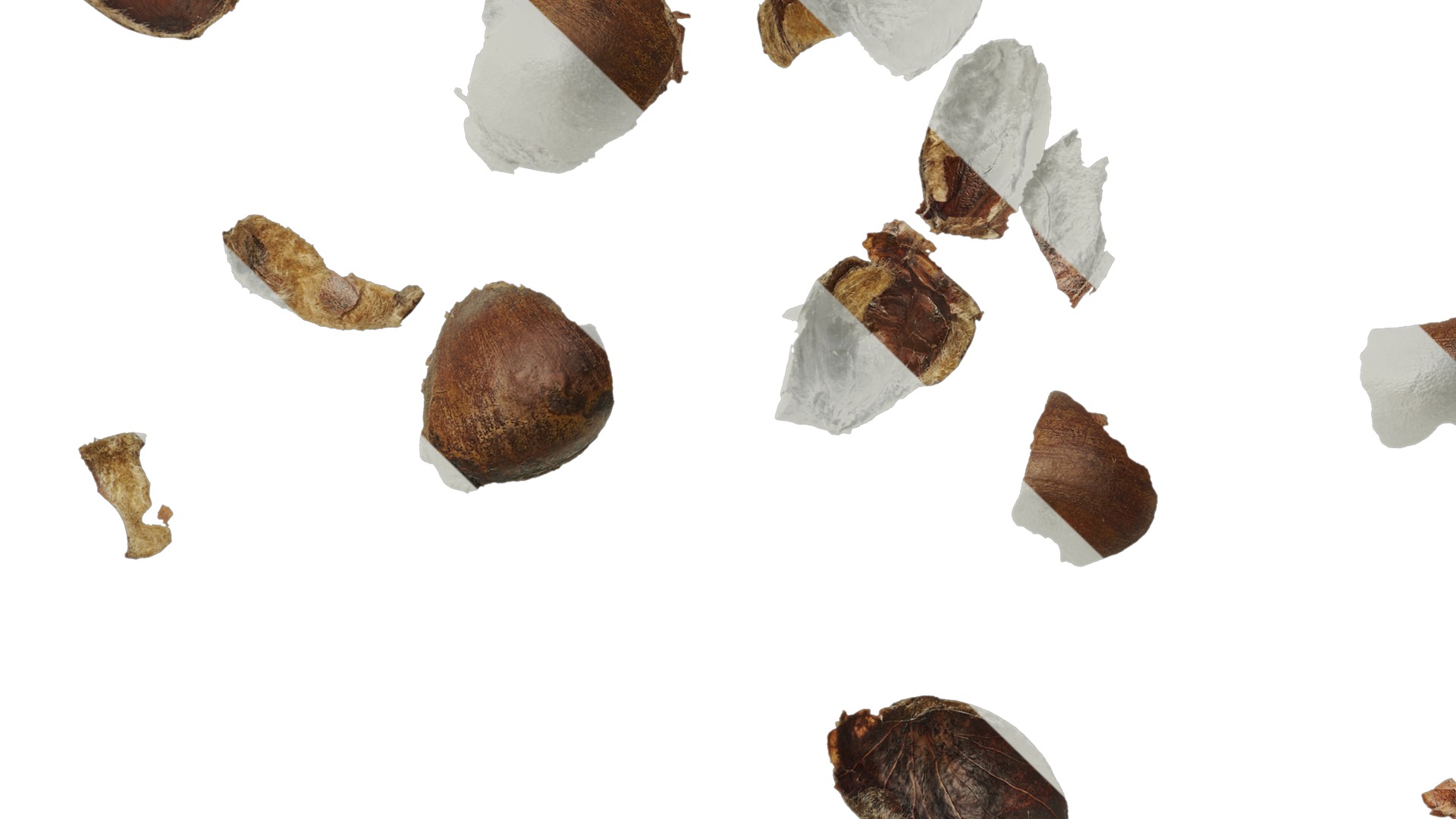 Anydrafts Kitchen waste 07 Texture_5