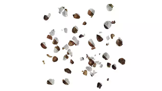 Anydrafts Kitchen waste 07