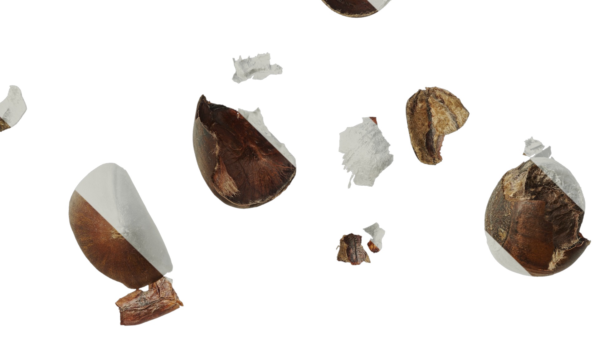 Anydrafts Kitchen waste 07 Texture_4