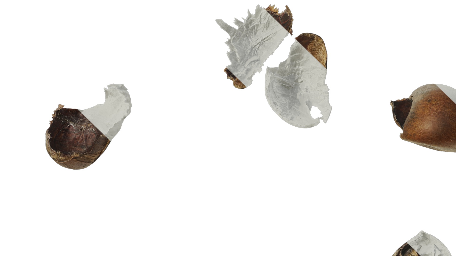 Anydrafts Kitchen waste 07 Texture_1