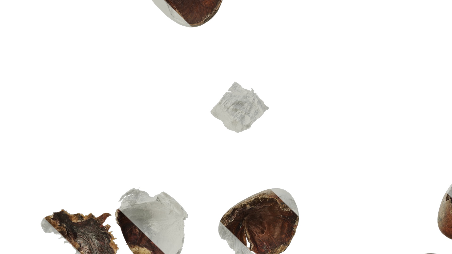 Anydrafts Kitchen waste 09 Texture_5