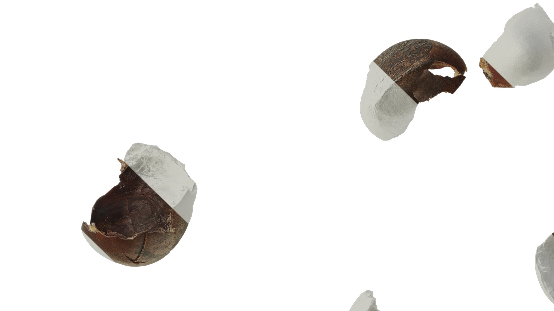 Anydrafts Kitchen waste 09 Texture_1