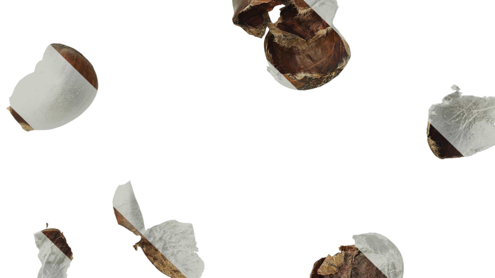 Anydrafts Kitchen waste 09 Texture_4