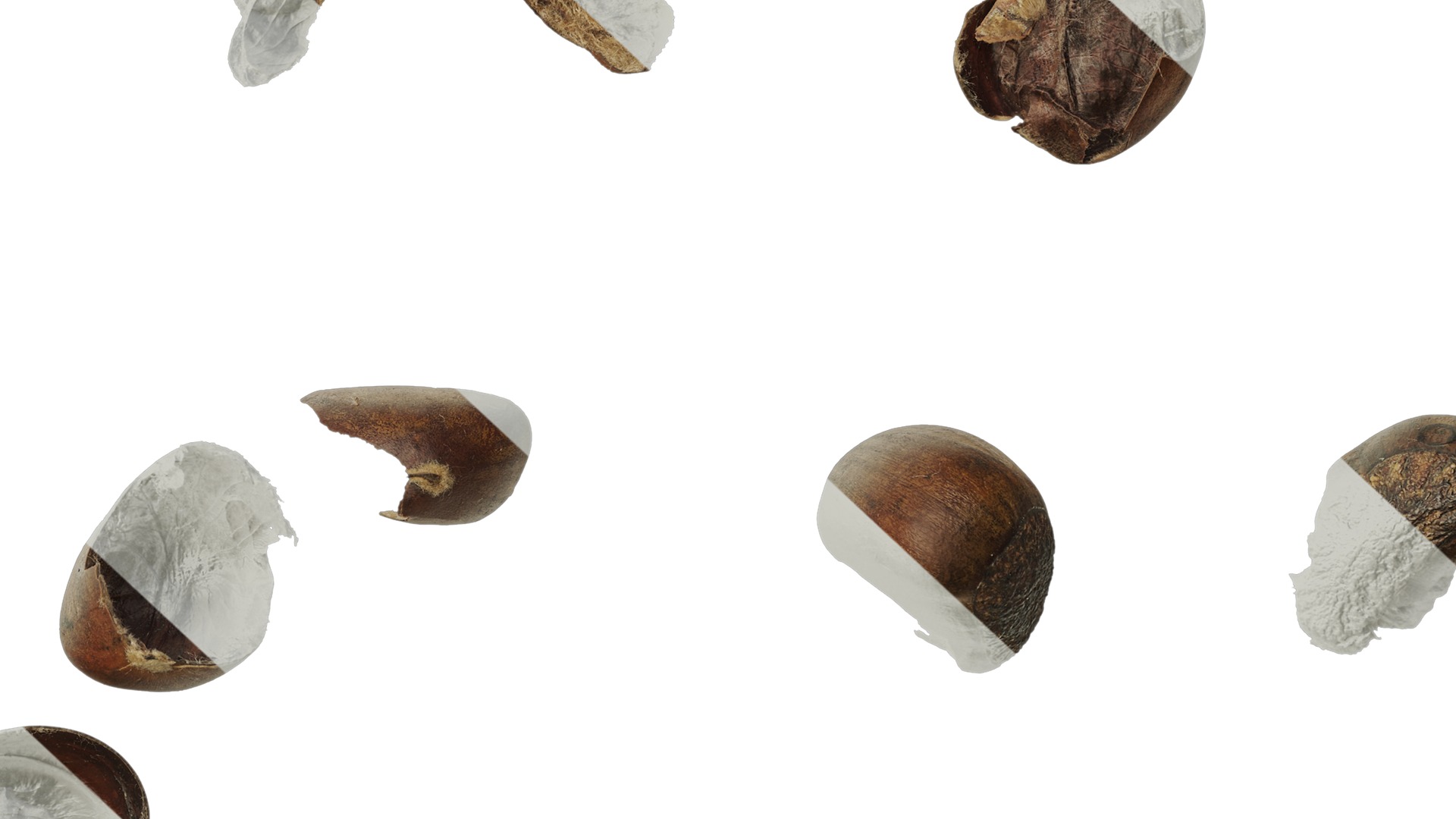 Anydrafts Kitchen waste 09 Texture_6