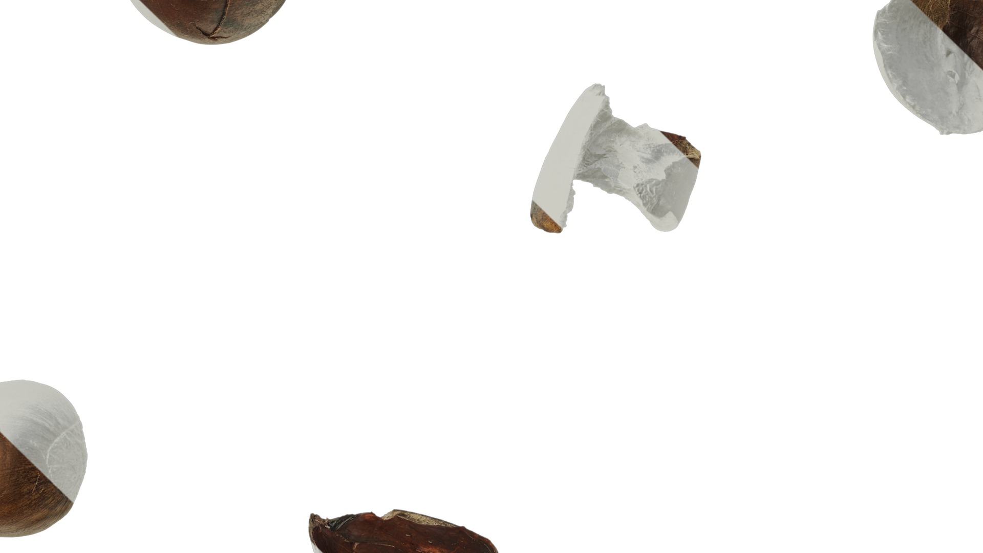 Anydrafts Kitchen waste 09 Texture_3