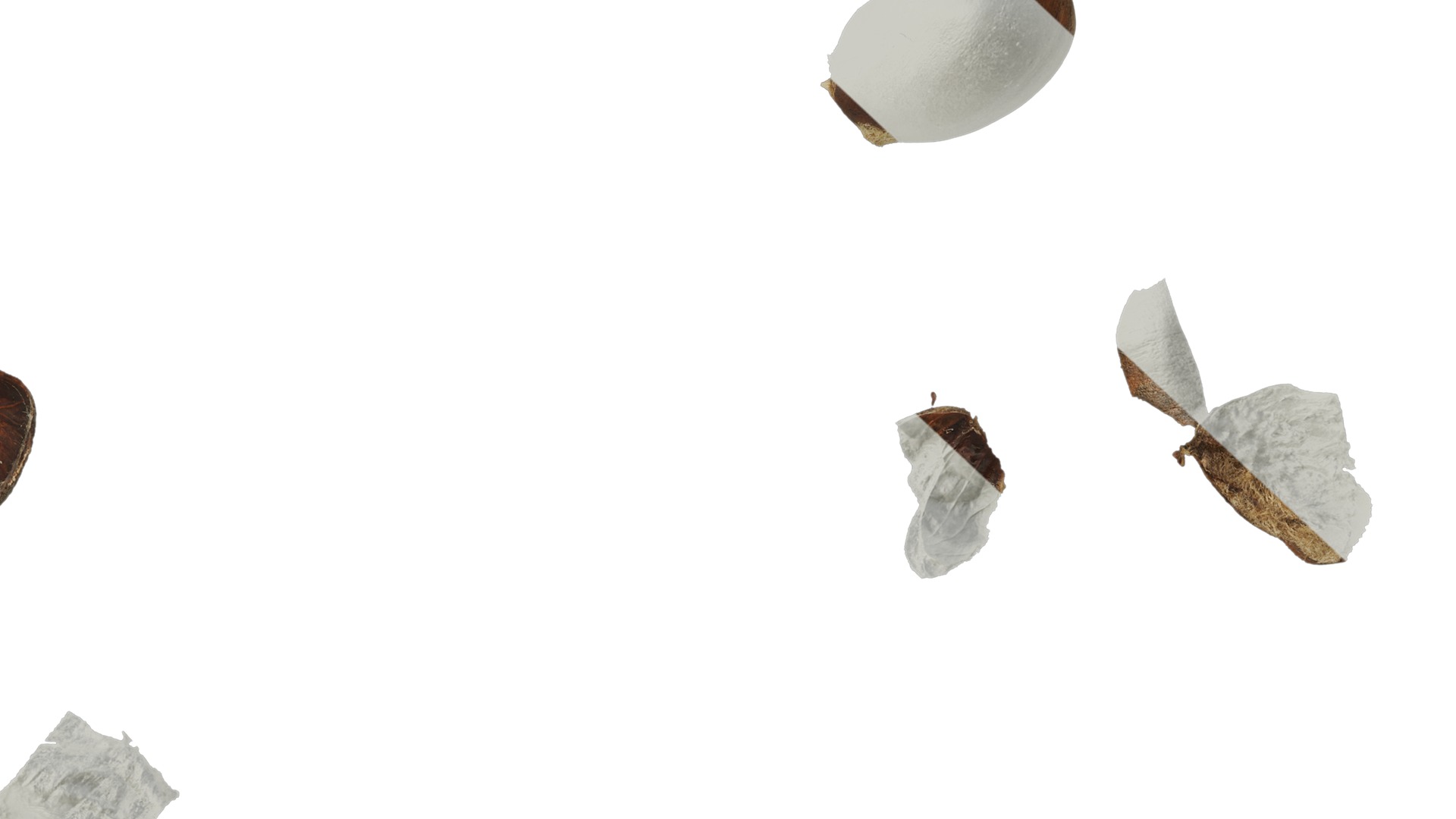 Anydrafts Kitchen waste 09 Texture_7