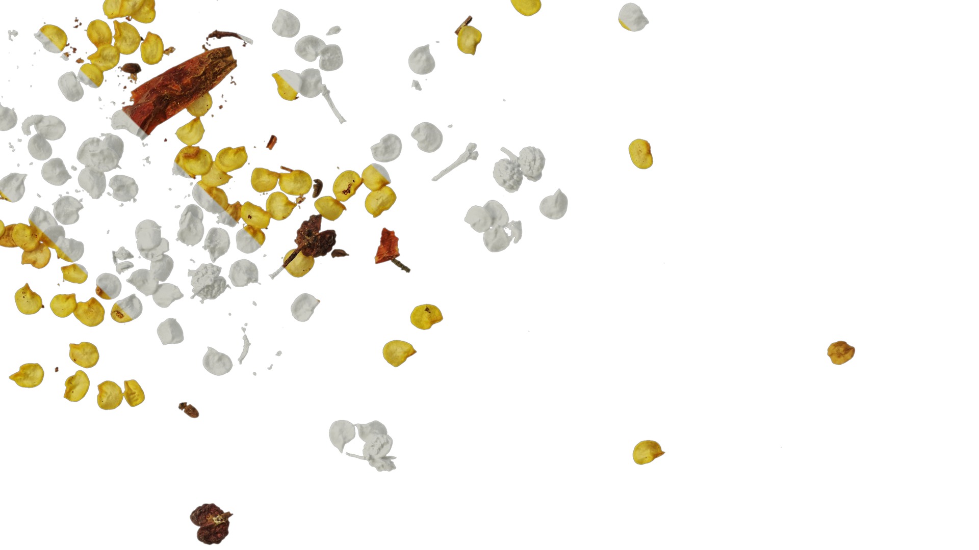 Anydrafts Kitchen waste 11 Texture_4