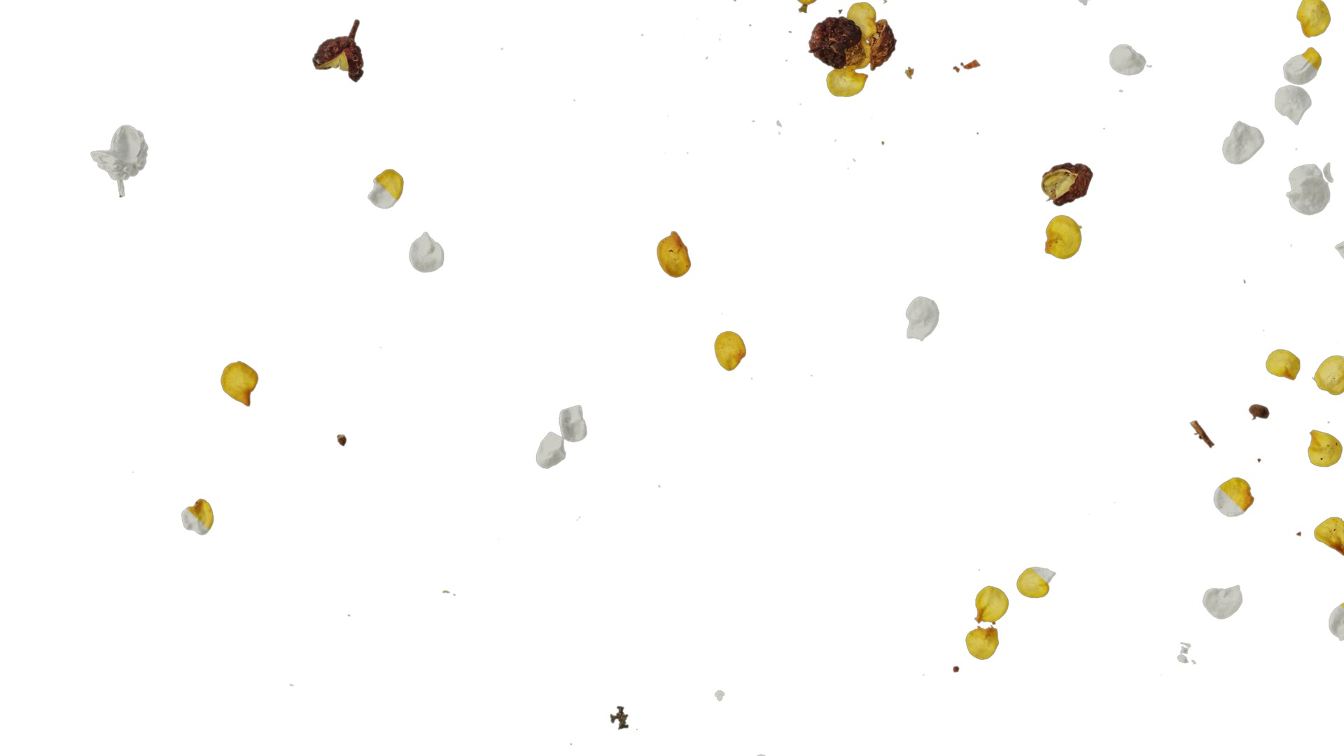 Anydrafts Kitchen waste 11 Texture_3