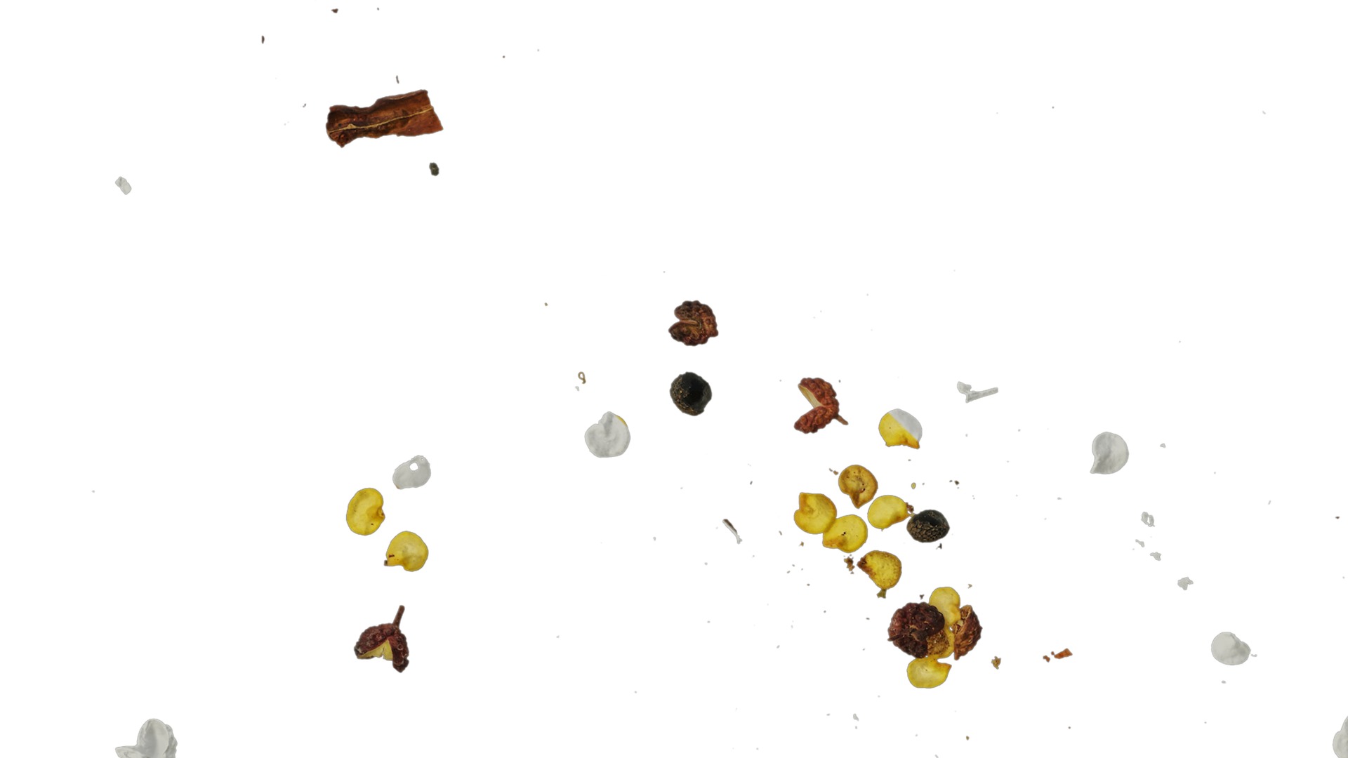 Anydrafts Kitchen waste 11 Texture_1